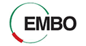 logo-embo