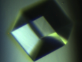 GCPII_crystal