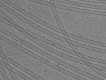 MTs_cryoEM